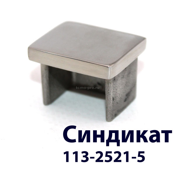 113-2521-5 Заглушка торцевая для поручня с пазом25*21